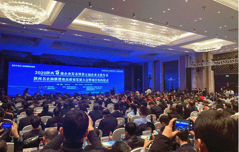 mlqv_image001 图片